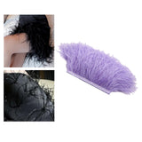 Maxbell 2 Pieces  Dyed Ostrich Feather Fringe Trim Ribbon Embellishment Light