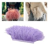 Maxbell 2 Pieces  Dyed Ostrich Feather Fringe Trim Ribbon Embellishment Light