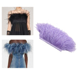 Maxbell 2 Pieces  Dyed Ostrich Feather Fringe Trim Ribbon Embellishment Light