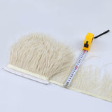 Maxbell 2 Pieces  Dyed Ostrich Feather Fringe Trim Ribbon Embellishment Light