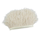 Maxbell 2 Pieces  Dyed Ostrich Feather Fringe Trim Ribbon Embellishment Light