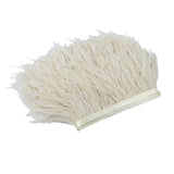 Maxbell 2 Pieces  Dyed Ostrich Feather Fringe Trim Ribbon Embellishment Light
