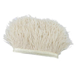 Maxbell 2 Pieces  Dyed Ostrich Feather Fringe Trim Ribbon Embellishment Light
