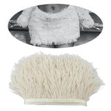 Maxbell 2 Pieces  Dyed Ostrich Feather Fringe Trim Ribbon Embellishment Light
