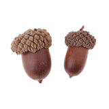 Maxbell 40 Pieces Natural Pine Cones Acorns Dried Table Ornament Home Decoration DIY