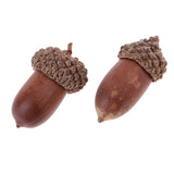 Maxbell 40 Pieces Natural Pine Cones Acorns Dried Table Ornament Home Decoration DIY