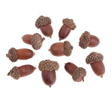 Maxbell 40 Pieces Natural Pine Cones Acorns Dried Table Ornament Home Decoration DIY
