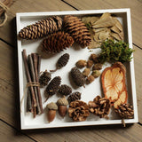 Maxbell 40 Pieces Natural Pine Cones Acorns Dried Table Ornament Home Decoration DIY