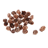 Maxbell 16 Pcs Dried  Pressed Dried Flowers+30 Pcs Real Natural Small Pine Cones