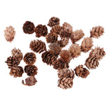Maxbell 16 Pcs Dried  Pressed Dried Flowers+30 Pcs Real Natural Small Pine Cones