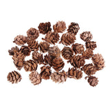 Maxbell 40 Pieces Natural Pine Cones Acorns Dried Table Ornament Home Decoration DIY