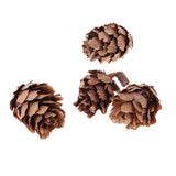 Maxbell 60 Pieces Mixed Natural Pine Cones Dried Table Ornament Home Decoration DIY