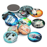 Maxbell 20 Pieces Half Round Glass Flatback Scrapbooking Dome Cabochons 12mm