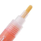Maxbell 12 Colors Acrylic Paint Markers Pen Art Permanent Paint Marker Pens Set