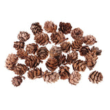 Maxbell 60 Pieces Mixed Natural Pine Cones Dried Table Ornament Home Decoration DIY