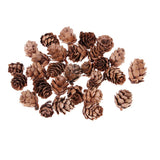 Maxbell 60 Pieces Mixed Natural Pine Cones Dried Table Ornament Home Decoration DIY