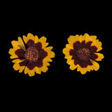 Maxbell 40 Pieces Real Pressed Dried Flowers DIY Art Crafts Scrapbooking Card Making