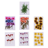 Maxbell 10 Pieces Natural Real Dried Flower Half Cut Rose Flower for DIY Card Making Decoration Jewelry Making Craft - Aladdin Shoppers