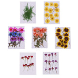 Maxbell 10 Pieces Natural Real Dried Flower Half Cut Rose Flower for DIY Card Making Decoration Jewelry Making Craft - Aladdin Shoppers