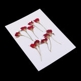 Maxbell 10 Pieces Natural Real Dried Flower Half Cut Rose Flower for DIY Card Making Decoration Jewelry Making Craft - Aladdin Shoppers