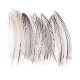 Maxbell 12 Pieces Natural Pheasant Feathers Wing Quill 15 - 20mm for DIY Crafting