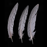 Maxbell 12 Pieces Natural Pheasant Feathers Wing Quill 15 - 20mm for DIY Crafting