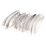 Maxbell 12 Pieces Natural Pheasant Feathers Wing Quill 15 - 20mm for DIY Crafting