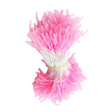 Maxbell 900 Pieces Multicolor Flower Stamens Double Buds Artificial Flower Making