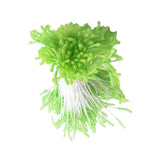 Maxbell 900 Pieces Multicolor Flower Stamens Double Buds Artificial Flower Making