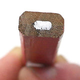 Maxbell 4x10 Pcs Carpenter Pencils with Measuring Builders Woodworking Pencil Marker
