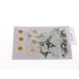 Maxbell Maxbell Beautiful White Natural Pressed Dried Flowers Pressed Leaves For Scrapbooking Art Craft Epoxy Resin Jewelry Making DIY Phone Case Decorations