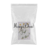 Maxbell Beautiful White Natural Pressed Dried Flowers Pressed Leaves For Scrapbooking Art Craft Epoxy Resin Jewelry Making DIY Phone Case Decorations - Aladdin Shoppers