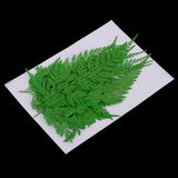 Maxbell 12 Pieces 11.5-13cm Long Real Pressed Leaves Dried Flower Embellishments for Card making Scrapbooking Art Crafts DIY Handmade Gifts Floral Decorations - Aladdin Shoppers