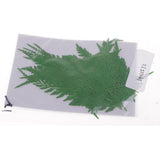 Maxbell 12 Pieces 11.5-13cm Long Real Pressed Leaves Dried Flower Embellishments for Card making Scrapbooking Art Crafts DIY Handmade Gifts Floral Decorations - Aladdin Shoppers