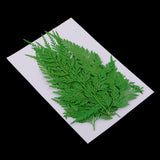 Maxbell 12 Pieces 11.5-13cm Long Real Pressed Leaves Dried Flower Embellishments for Card making Scrapbooking Art Crafts DIY Handmade Gifts Floral Decorations - Aladdin Shoppers