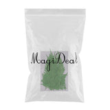 Maxbell 12 Pieces 11.5-13cm Long Real Pressed Leaves Dried Flower Embellishments for Card making Scrapbooking Art Crafts DIY Handmade Gifts Floral Decorations - Aladdin Shoppers