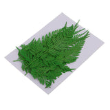 Maxbell 12 Pieces 11.5-13cm Long Real Pressed Leaves Dried Flower Embellishments for Card making Scrapbooking Art Crafts DIY Handmade Gifts Floral Decorations - Aladdin Shoppers