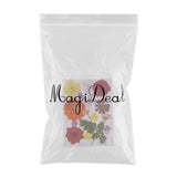 Maxbell Multiple Beautiful Real Pressed Flower Natural Dried Flowers for Arts Crafts Scrapbooking Resin Jewelry Craft Making Phone Case DIY Materials - Aladdin Shoppers