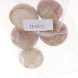 Maxbell 5x Real Dried Small Mushroom Photo Props Natural Ornaments Garden Home Decor - Aladdin Shoppers