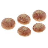 Maxbell 5x Real Dried Small Mushroom Photo Props Natural Ornaments Garden Home Decor - Aladdin Shoppers
