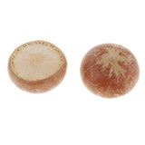 Maxbell 5x Real Dried Small Mushroom Photo Props Natural Ornaments Garden Home Decor - Aladdin Shoppers
