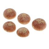 Maxbell 5x Real Dried Small Mushroom Photo Props Natural Ornaments Garden Home Decor - Aladdin Shoppers