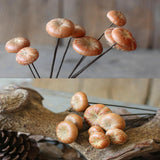 Maxbell 5x Real Dried Small Mushroom Photo Props Natural Ornaments Garden Home Decor - Aladdin Shoppers