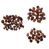 Maxbell 100 Pieces Small Real Natural Pine Cones for Christmas Ornaments Decoration
