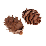 Maxbell 100 Pieces Small Real Natural Pine Cones for Christmas Ornaments Decoration