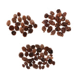Maxbell 100 Pieces Small Real Natural Pine Cones for Christmas Ornaments Decoration
