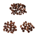 Maxbell 100 Pieces Small Real Natural Pine Cones for Christmas Ornaments Decoration