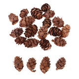 Maxbell 100 Pieces Small Real Natural Pine Cones for Christmas Ornaments Decoration