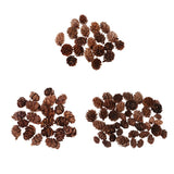 Maxbell 100 Pieces Small Real Natural Pine Cones for Christmas Ornaments Decoration