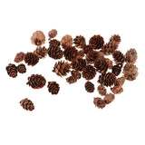 Maxbell 50 Pieces Mixed Size Mini Natural Rustic Dried Pine Cones In Bulk For Christmas Party Ornament Florists Gift Wrapping Decoration - Aladdin Shoppers